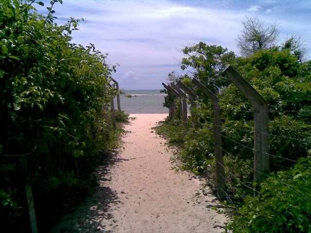 photo14.jpg