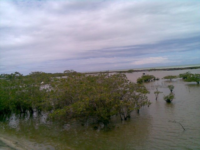 photo48.jpg