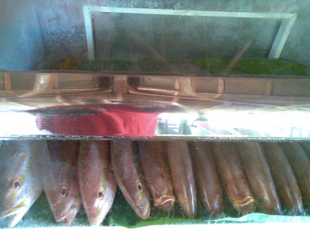 photo99.jpg
