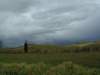 valdorcia20062_small.jpg