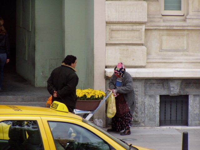 fiori.jpg