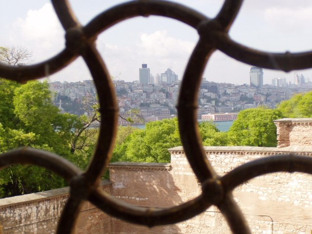 vista.jpg