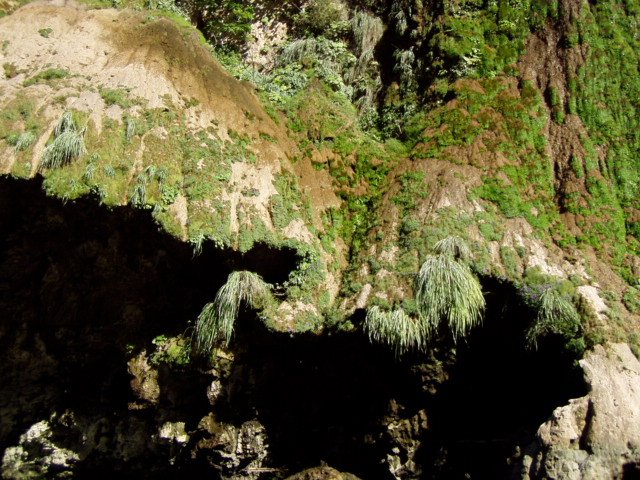 canyonelsumideromessiconov200614.jpg