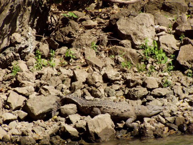 canyonelsumideromessiconov20063.jpg
