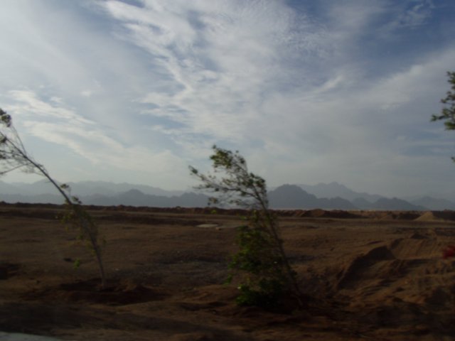 sharmnov2003039.jpg