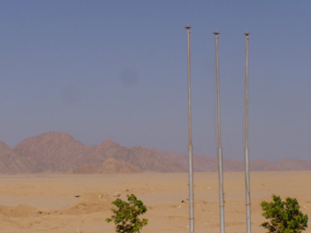sharmnov2003138.jpg